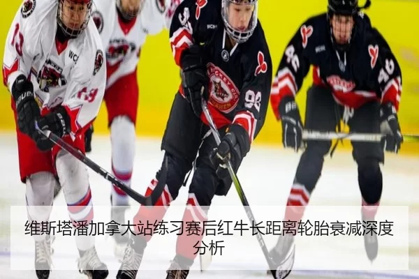 维斯塔潘加拿大站练习赛后红牛长距离轮胎衰减深度分析